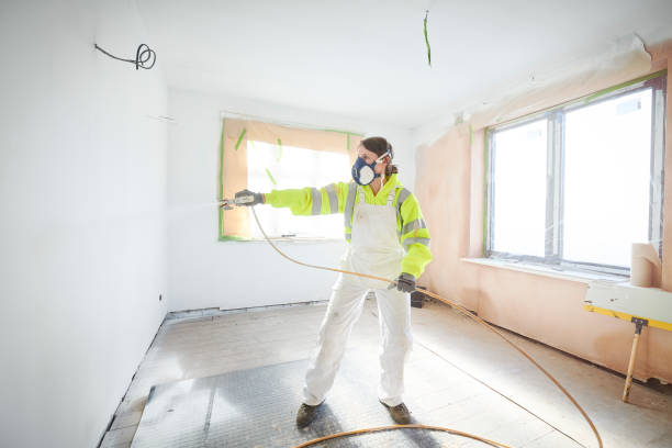 Trusted Broad Creek, NC Mold Removal Experts