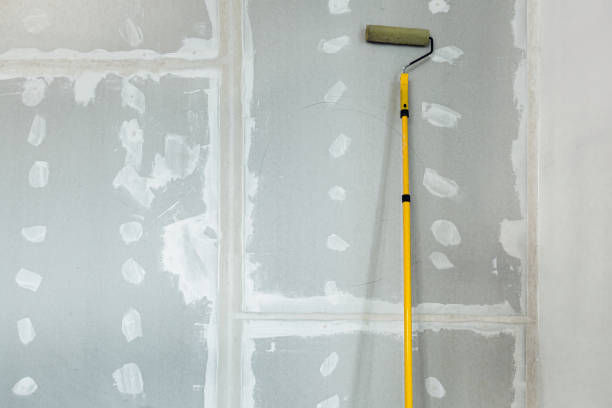 Best Mold Documentation for Insurance Claims  in Broad Creek, NC
