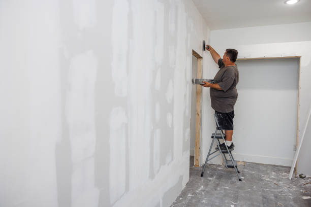 Best Mold-Related Health Consultation  in Broad Creek, NC