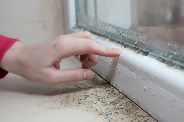 Best HVAC Mold Inspection and Cleaning  in Broad Creek, NC