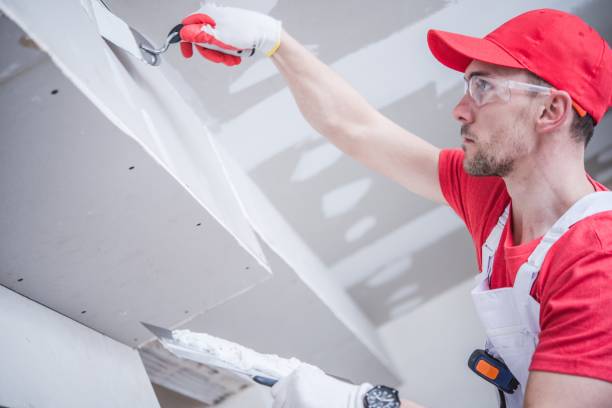 Best Environmental Consulting for Mold Prevention  in Broad Creek, NC